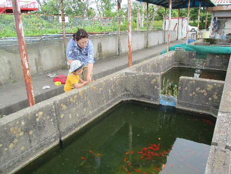 金魚釣り