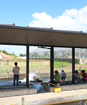 Fish Pond 釣り堀