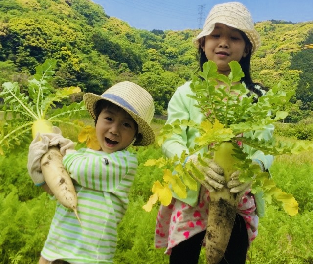 ファイル 136-5.jpg