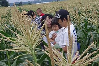 手賀の丘 収穫体験 農菜土