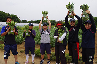 手賀の丘 収穫体験 農菜土